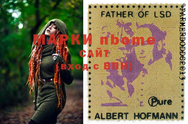 сатива Иннополис