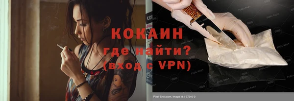 сатива Иннополис