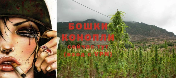 сатива Иннополис