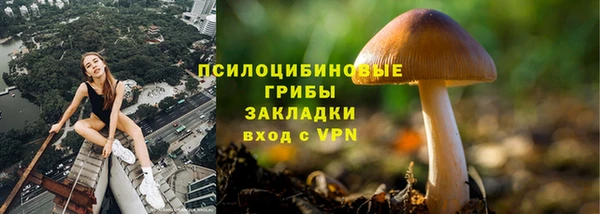 сатива Иннополис