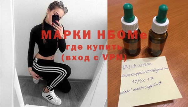 сатива Иннополис